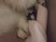 Immagine 3