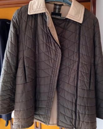 Trapuntino Geox donna