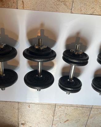 Pesi originali weider 4 manubri weider