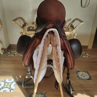 Zaldi Drim Tm-system