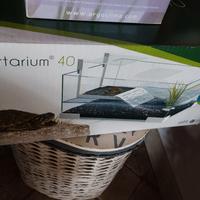 Tartarium40 terrario tartaruga 