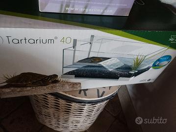 Tartarium40 terrario tartaruga 