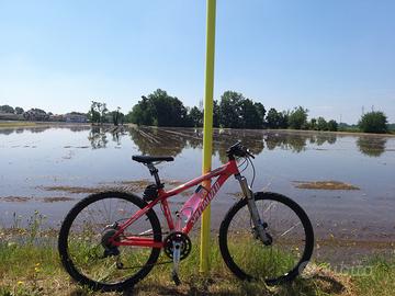 Specialized Stumpjumper s-works