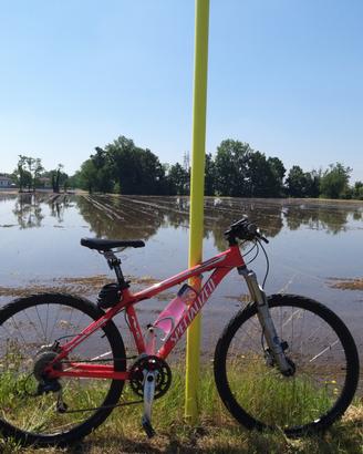 Specialized Stumpjumper s-works