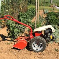 Motocoltivatore carraro 7.10