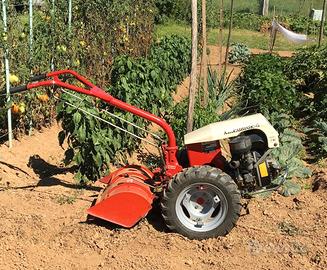 Motocoltivatore carraro 7.10