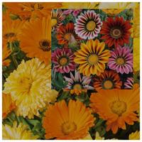 Semi di Calendula officinale e Gazania in mix
