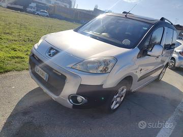 Peugeot patner