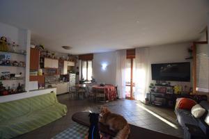 Rif.2460RA69532| appartamento bilocale