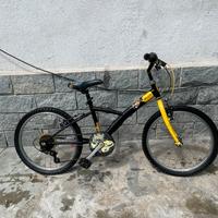 bicicletta