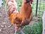 Immagine 3