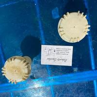 Tappi serbatoio lambretta d c