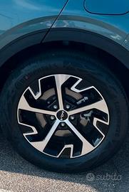 Gomme estive