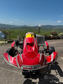 Birel Art kz TM R1