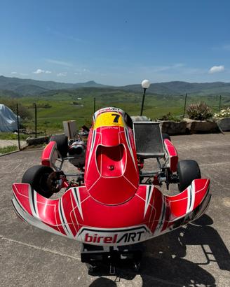 Birel Art kz TM R1