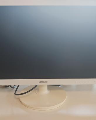 monitor 22
