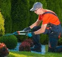 Giardiniere-aiutante