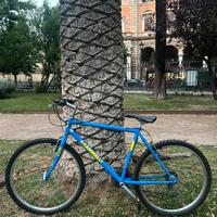 mountain bike CARNIELLI