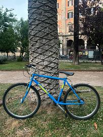 mountain bike CARNIELLI