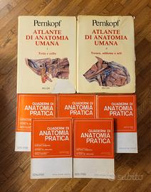 Pernkopf - Atlante di Anatomia + libri Lambertini