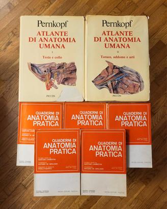 Pernkopf - Atlante di Anatomia + libri Lambertini
