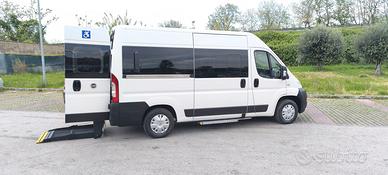 Fiat Ducato 9 Posti Trasporto Disabili