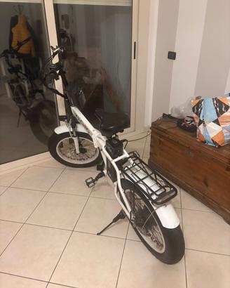 Bicicletta elettrica