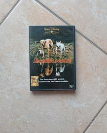DVD Avventura (1963) - Walt Disney
