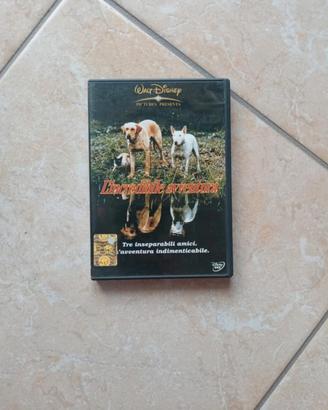 DVD Avventura (1963) - Walt Disney