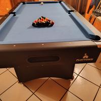 biliardo professionale 