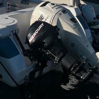 Mercury 20 cavalli 4 tempi