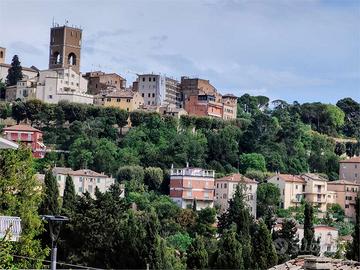 V003832 OSIMO ZONA BORGO
