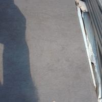 Piastrelle stone green 14 metri e 10 m zoccolino