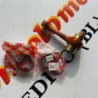 KIT BIELLA APRILIA ETX 350 PEGASO 600