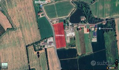 Terreno agricolo a Bionde (Verona)