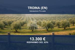 Immobile in asta di 69959 m² a Troina
