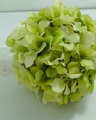 Orchidea finta