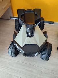 Quad elettrico