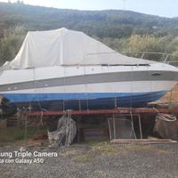 Barca a motore 6 posti