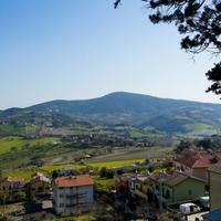 Posto letto in stanza singola a Camerano