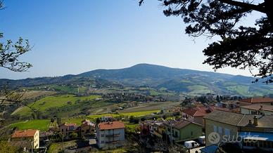 Posto letto in stanza singola a Camerano