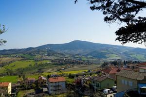 Posto letto in stanza singola a Camerano