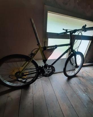 mountain bike