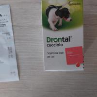Drontal cuccioli