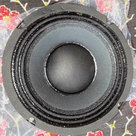 Midrange Monacor SP-6/150PA