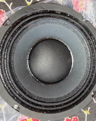 Midrange Monacor SP-6/150PA