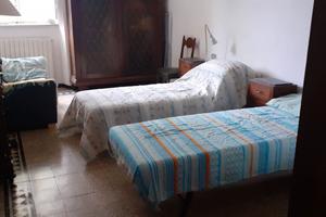 Camera singola in appartamento in condivisione