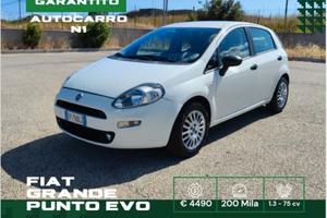 Fiat Grande Punto Autocarro N1