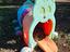 Immagine 4