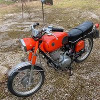 Gilera Altro modello - 1971